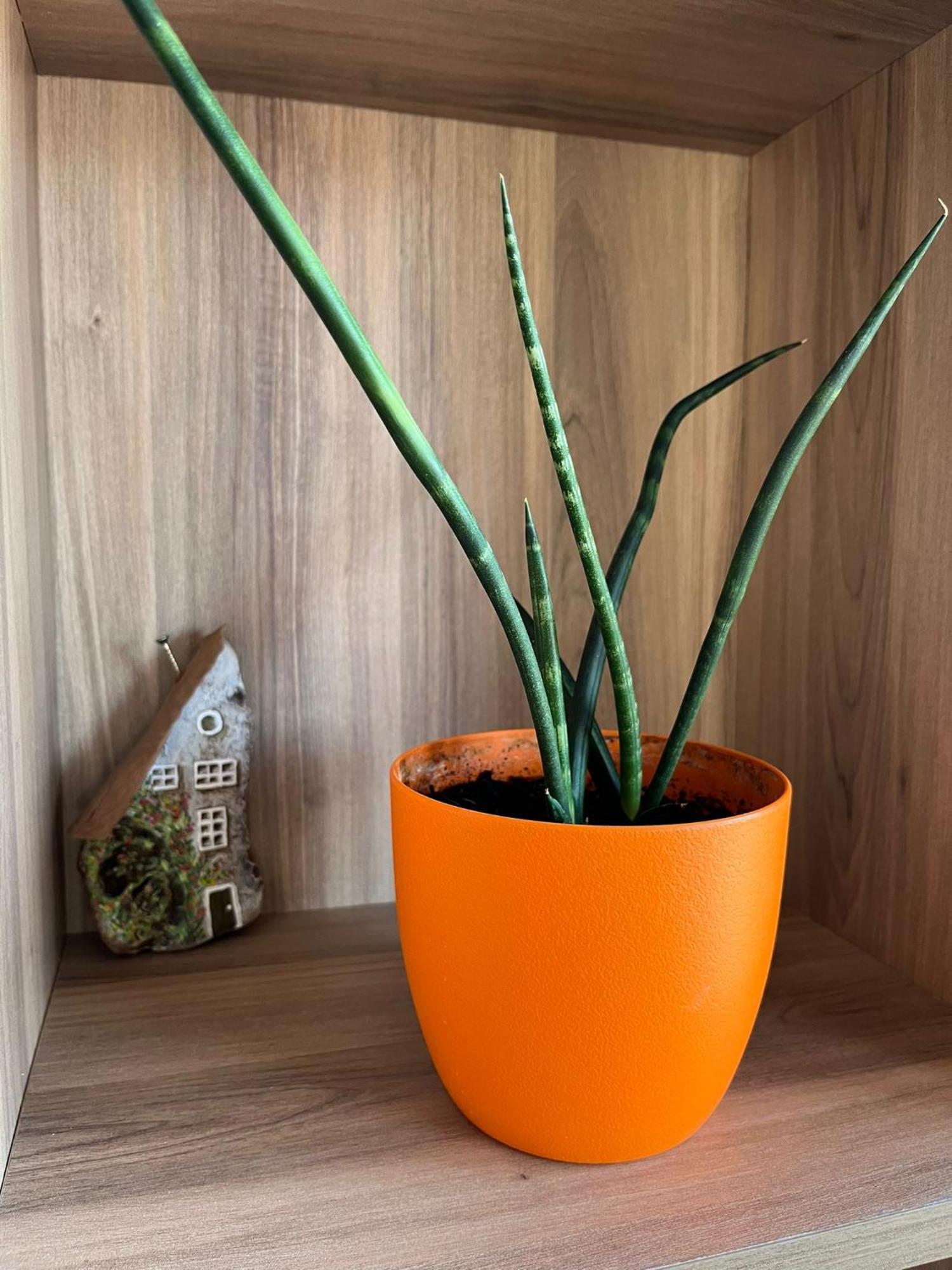Apartamento El Mirador Del Centro *